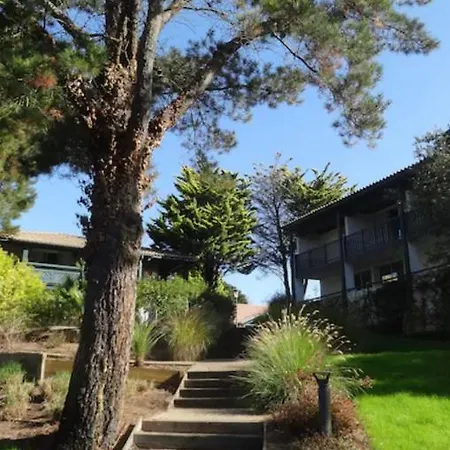 Apartment Monplaisir